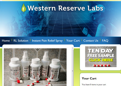 Website Design and Development